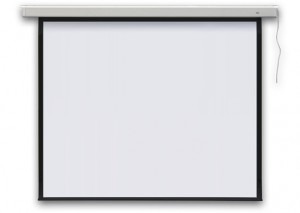 Ekran projekcyjny PROFI elektryczny 427 cm (168 cali) 1:1